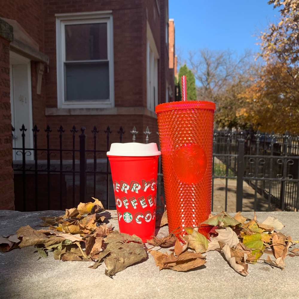 Starbucks Cold Tumbler Cup